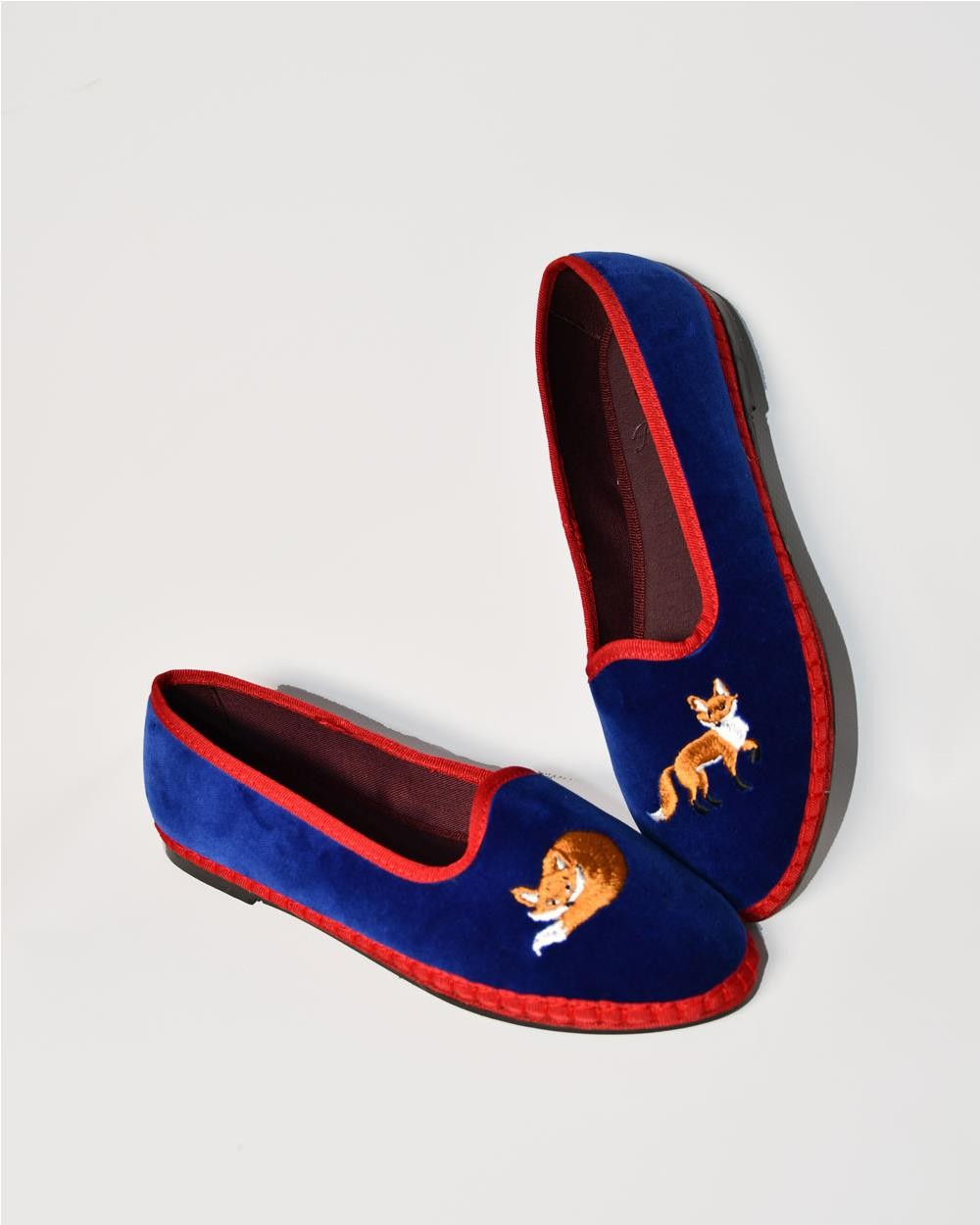 Slipper Flabelus X Cortemax Foxy BLUE