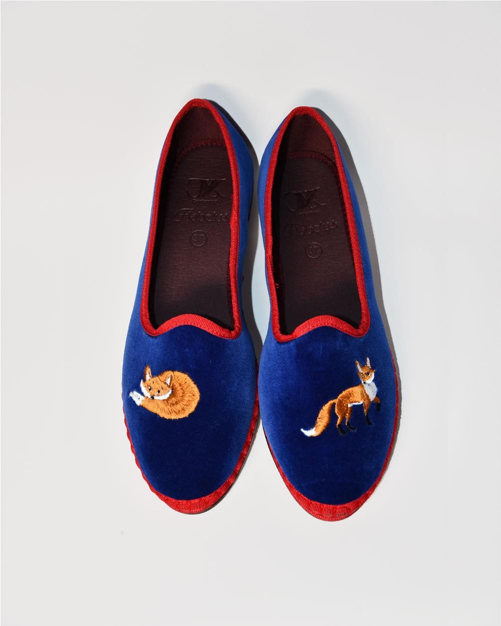 Slipper Flabelus X Cortemax Foxy BLUE