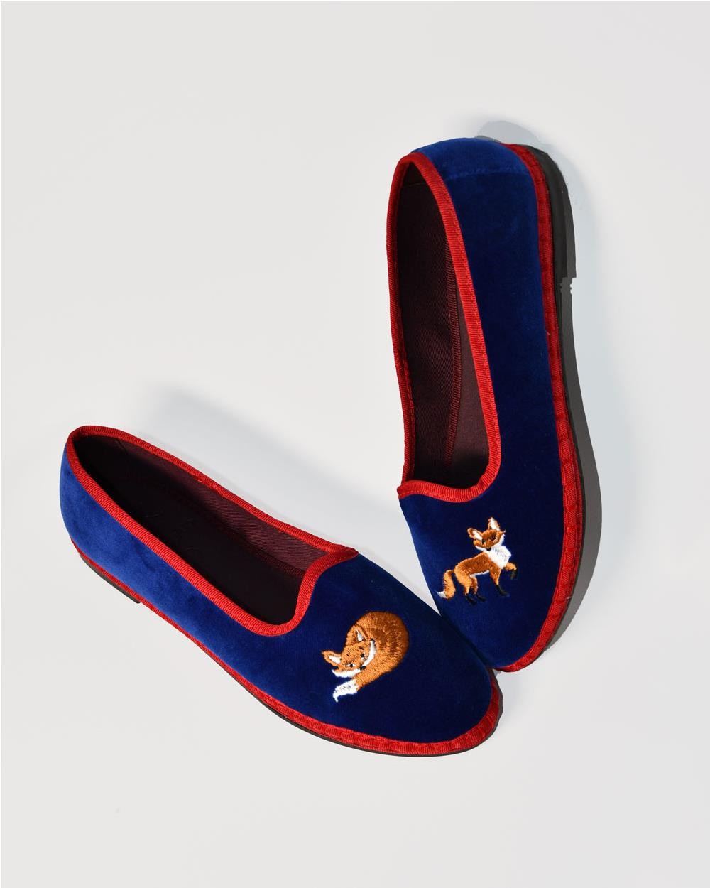 Slipper Flabelus X Cortemax Foxy BLUE