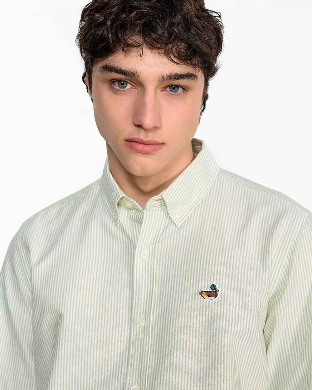 Camisa Stripped BD Duck Edition...