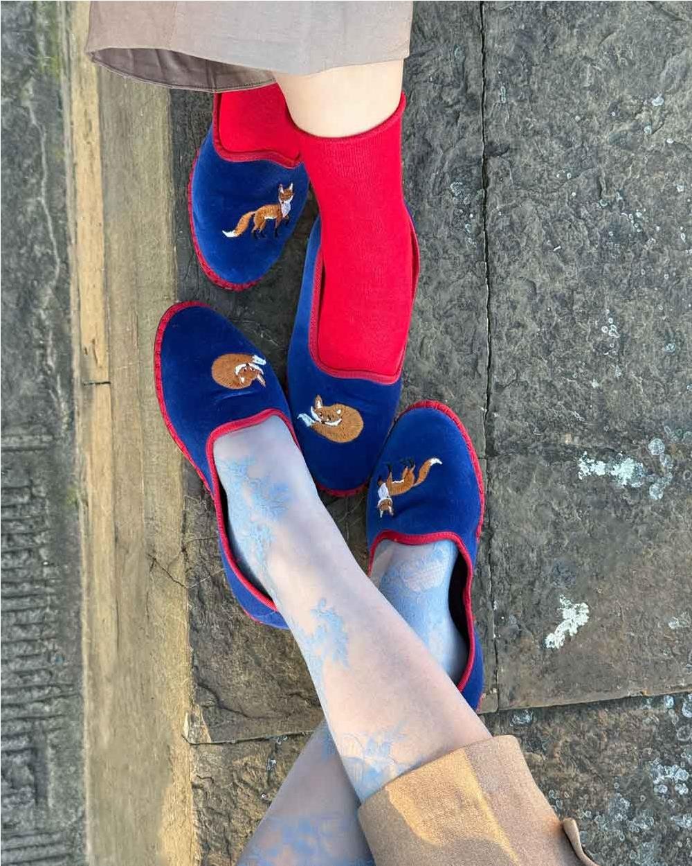 Slipper Flabelus X Cortemax Foxy BLUE