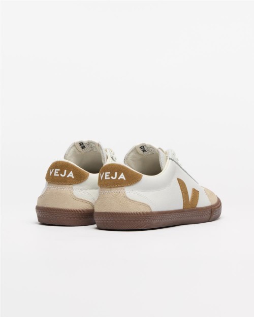 Zapatilla Volley Leather... 2