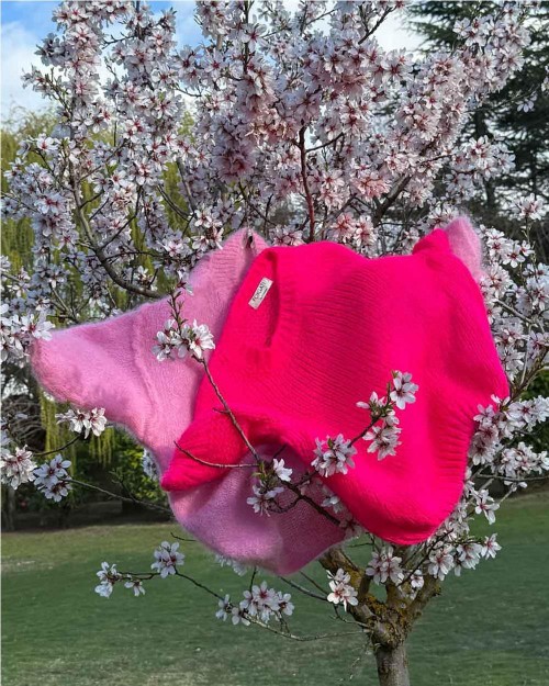 Jersey kid mohair media...