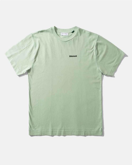 T-shirt Parrots hombre MINT